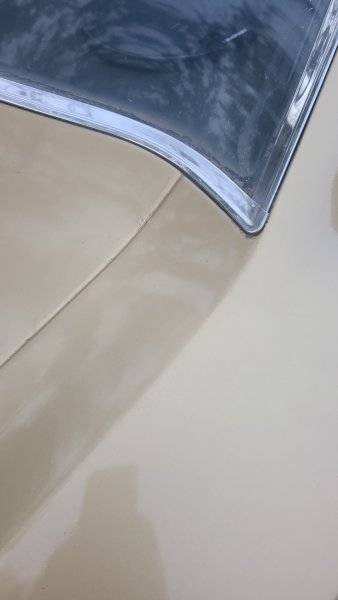 20230410_195913.jpg