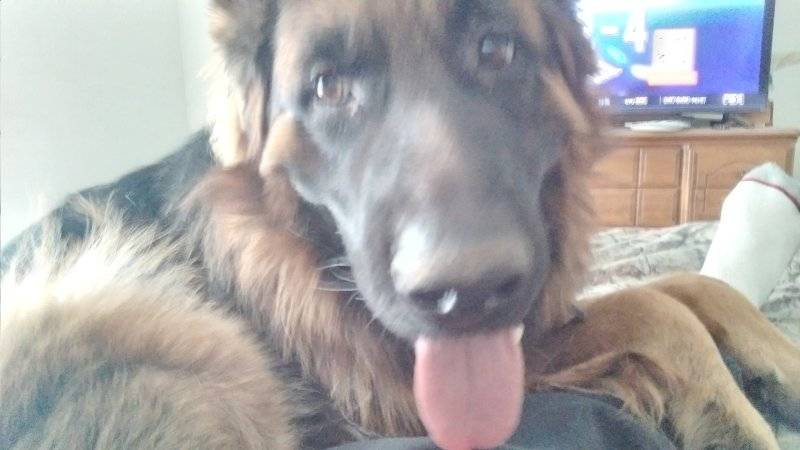 20230519_162026.jpg