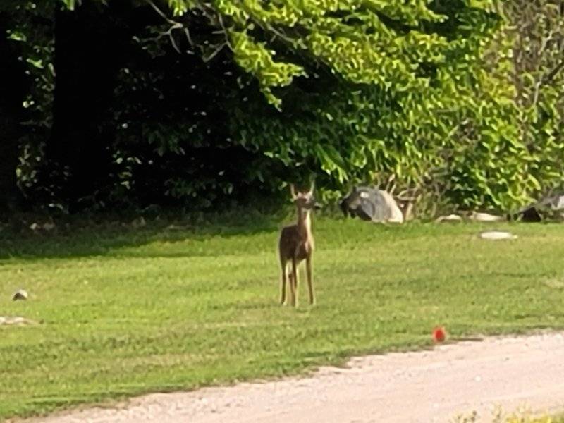 20230523_163006.jpg