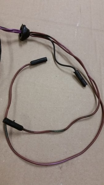 20230802_152911.jpg