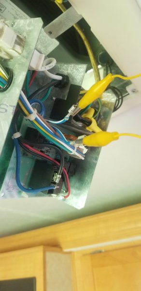 20230806_123210.jpg