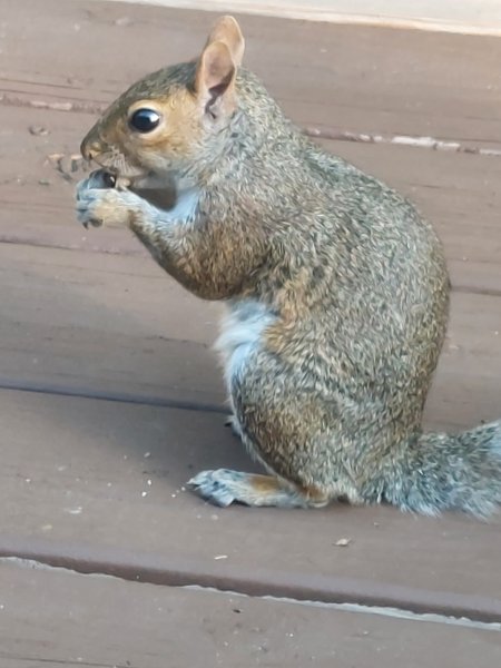 20230903_075558.jpg