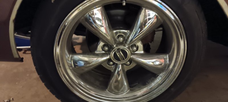20230919_191600.jpg