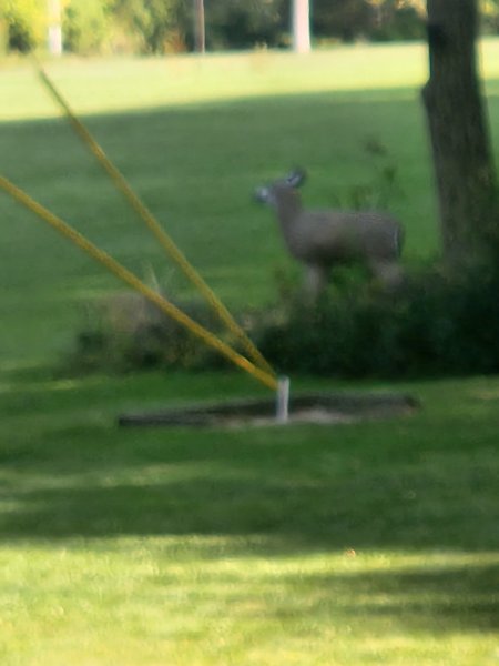20230922_164525.jpg
