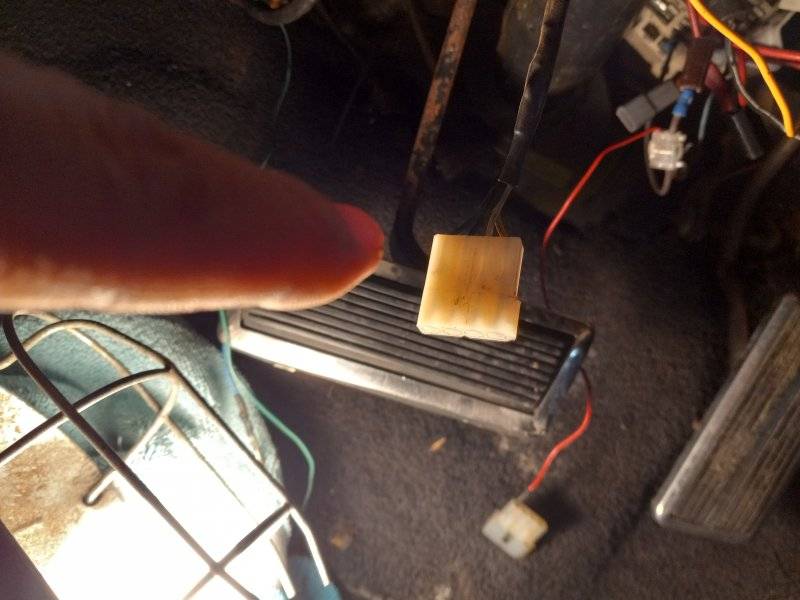 20231013_160543.jpg