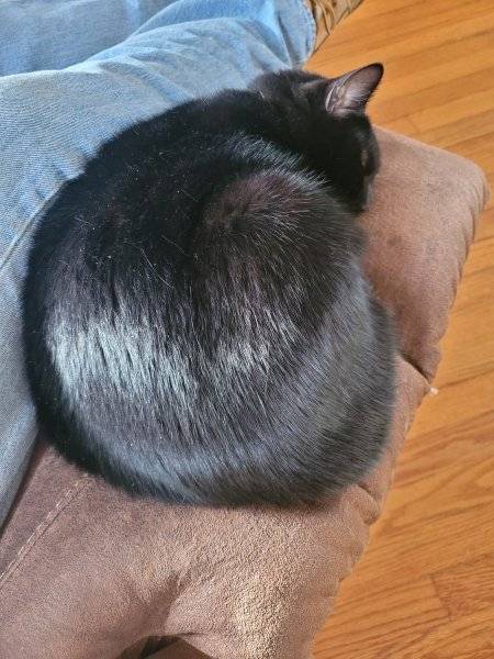 20231204_135250.jpg