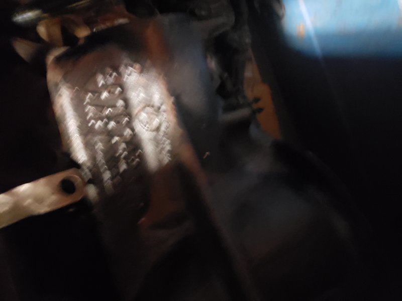 20231209_115726.jpg
