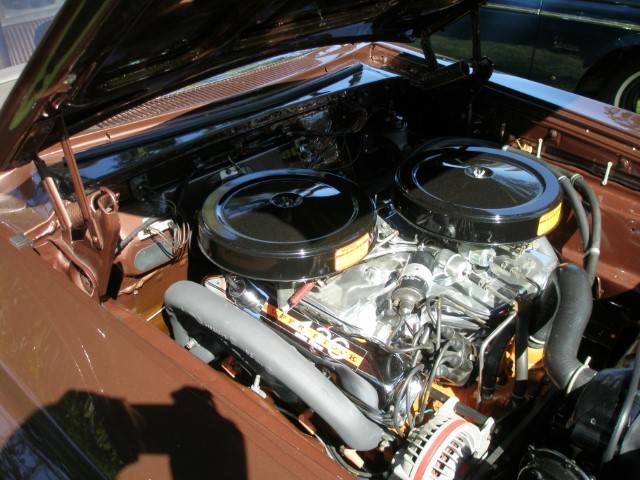 2024 Hagen Park Show 080 (Small).JPG