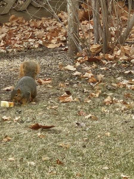 20240104_105752.jpg