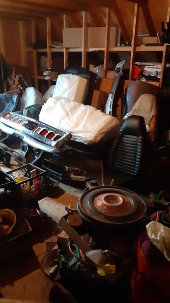 20240412_154226.jpg