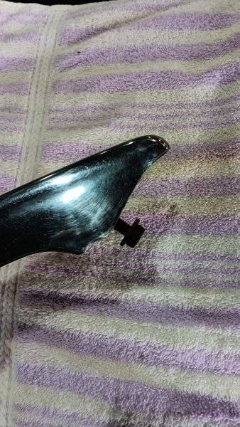 20240429_083921.jpg