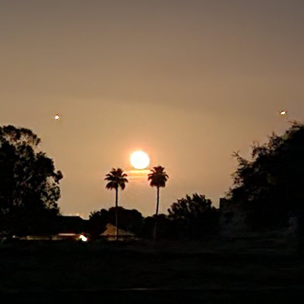 20240523_202705.jpg