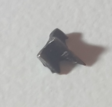 20240527_162116.jpg