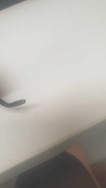 20240527_174101.jpg
