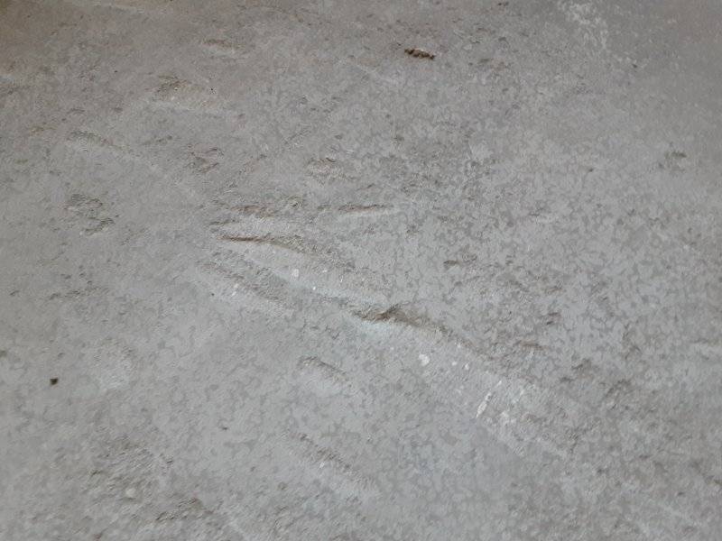 20240529_161405.jpg