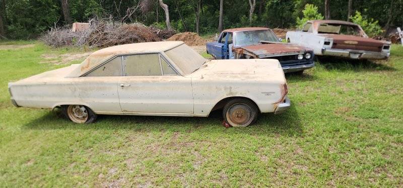 20240601_141739.jpg 20240601_141739.jpg