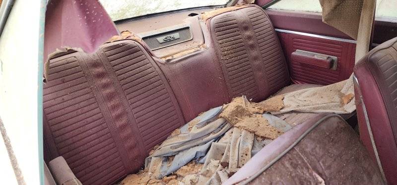 20240601_141921.jpg 20240601_141921.jpg