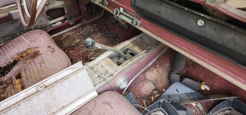 20240601_141949.jpg 20240601_141949.jpg