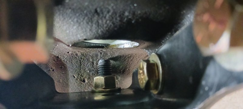 20250319_141444.jpg