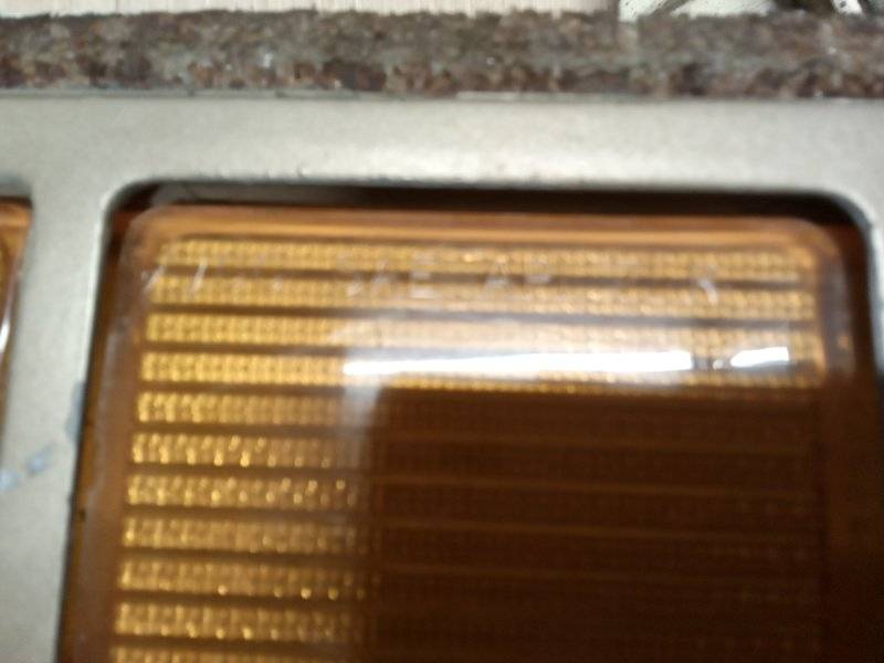 20250423_201331.jpg