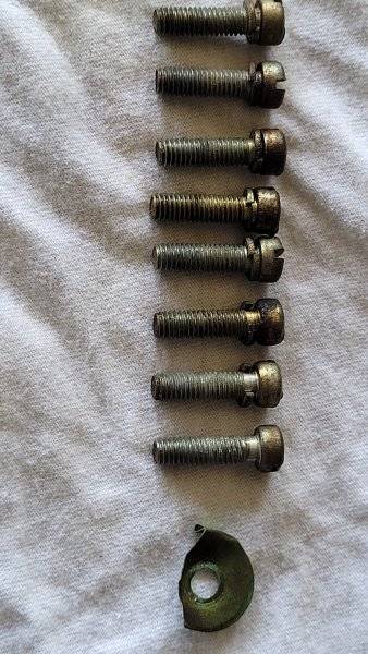 20250424_115351.jpg