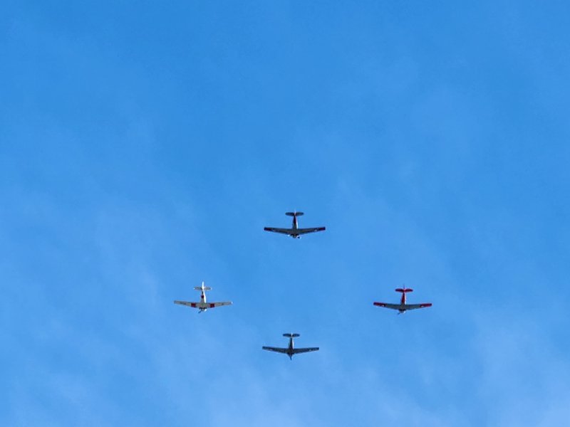 20250425_103939.jpg