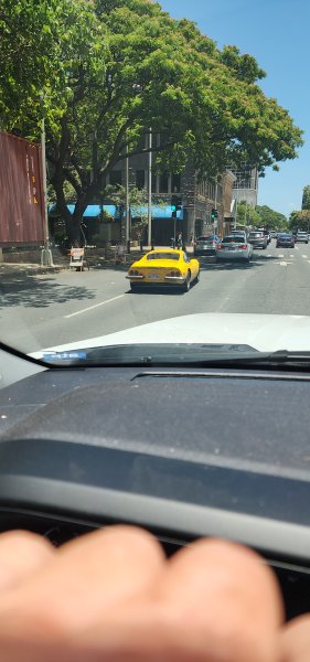 20250603_120916.jpg