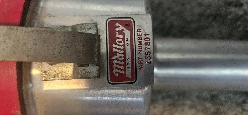 20250624_124724.jpg