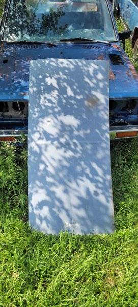 20250718_154339.jpg