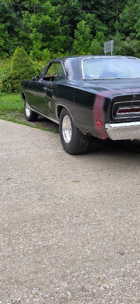 20250718_194310.jpg