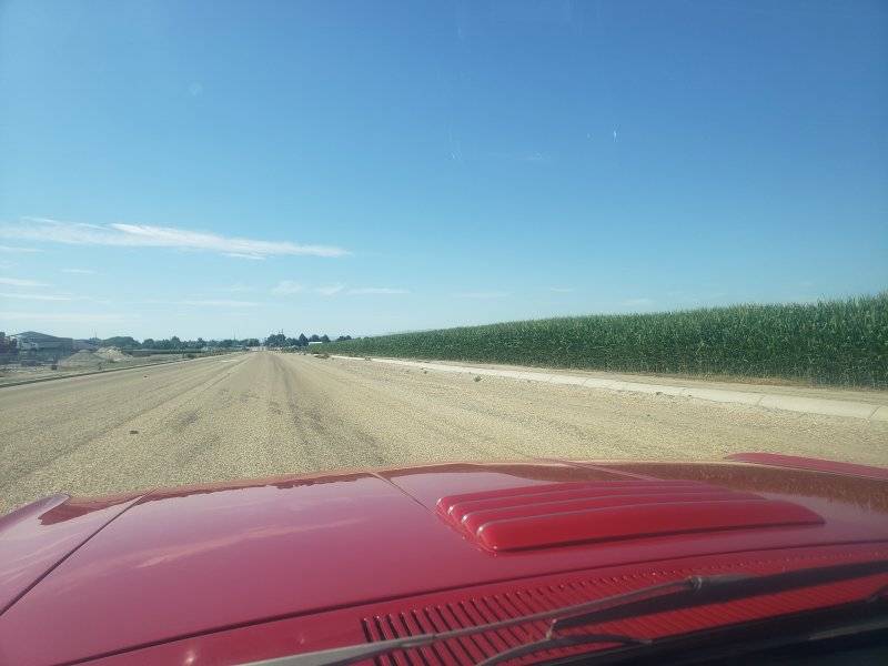 20250727_110200.jpg