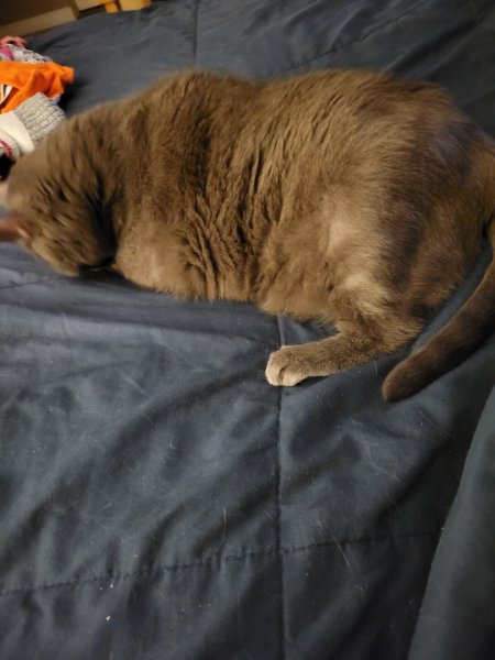 20250802_235135.jpg