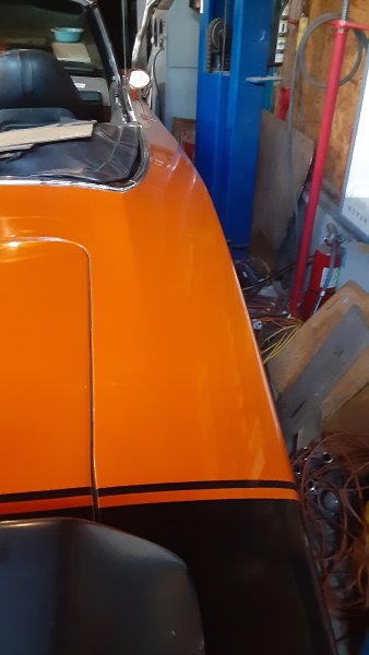 20250810_161742.jpg