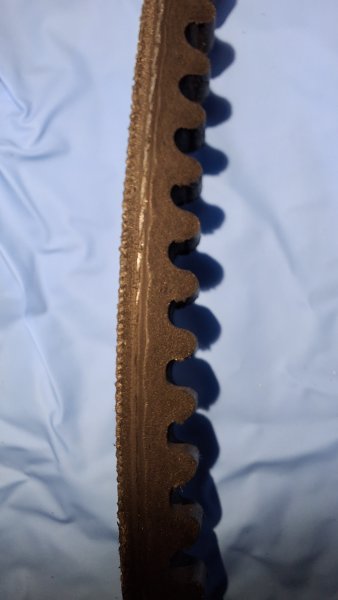20250830_180856.jpg