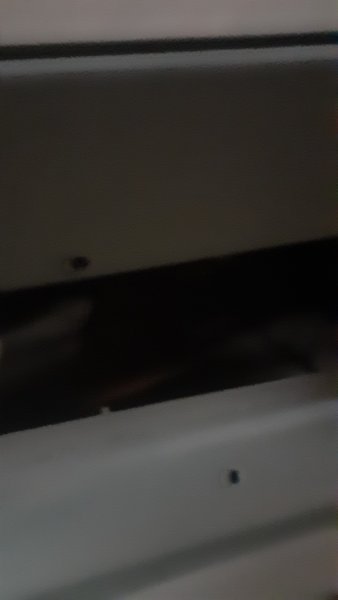 20250918_063333.jpg