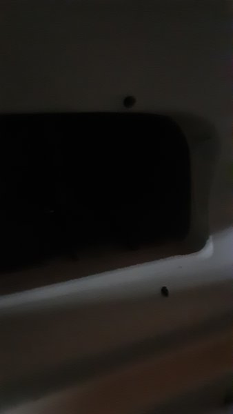 20250918_063339.jpg