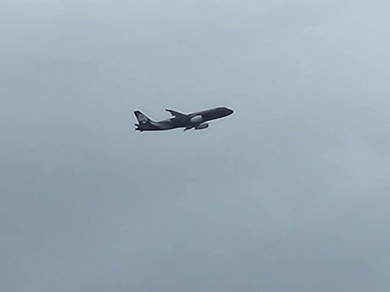 20250918_110612.jpg