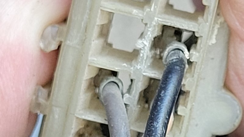 20251008_145227.jpg