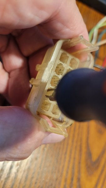 20251014_133711.jpg