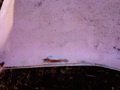 240711-c5cbcaddb85cdc7a78164dae2321b5b0.jpg