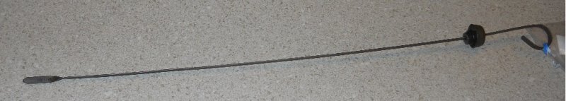 2466302.jpg