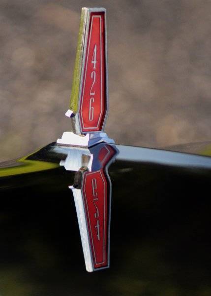 2579875-426.jpg