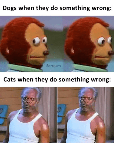 29e45f6448d0cc965423b6e3312b77a3a0ead156d9b662bf87bd9acd43340e2f.png