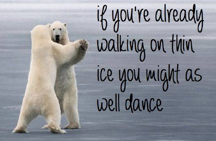 2Fi.pinimg.com%2F736x%2Fac%2F15%2F7c%2Fac157ca2746aefc7cbf1f43fb8774fc5--on-thin-ice-polar-bears.jpg