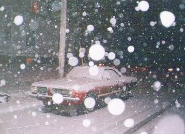2SnowCuda.jpg