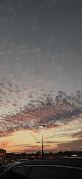 300AA2F2-30F1-4B52-9FD0-4B5E26AADEFC.png