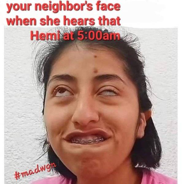 309553987_164179232937924_7656519051501178780_n.jpg