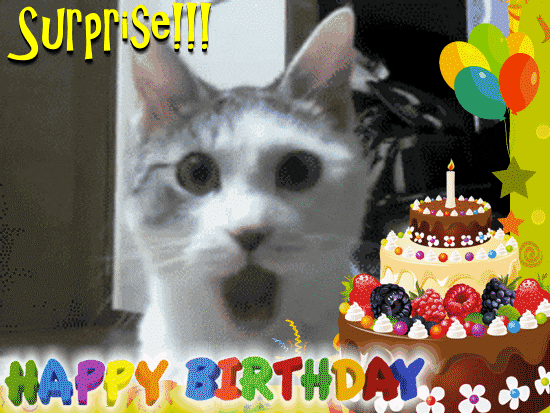 324025.gif