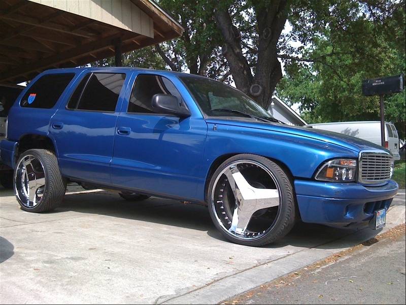 32529320051_large.jpg