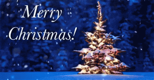 343884-Snowfall-Merry-Christmas-Gif.gif